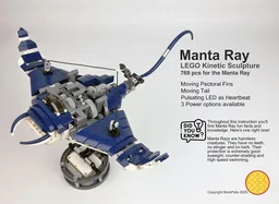 Manta Ray