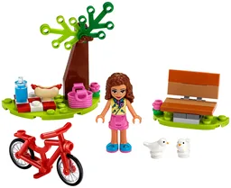 Park Picnic