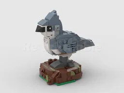 Tufted Titmouse