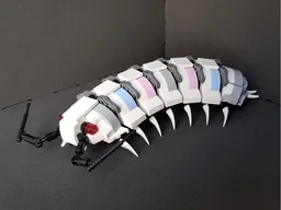 Isopod