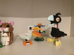 Garden Birds