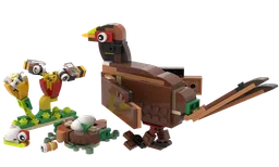 Pheasant