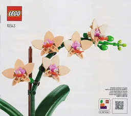 Mini Orchid