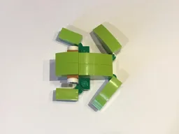 11953 Tree Frog