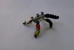 Lizard