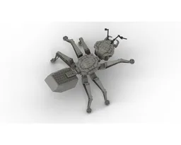 Ant