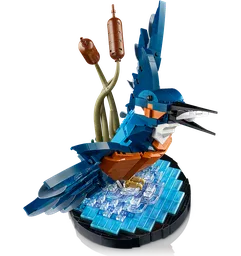 Kingfisher Bird