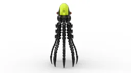 Squid