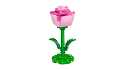 Micro Pink Rose