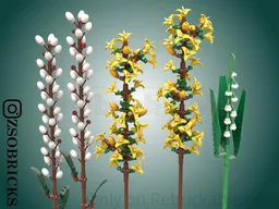 Spring flowers