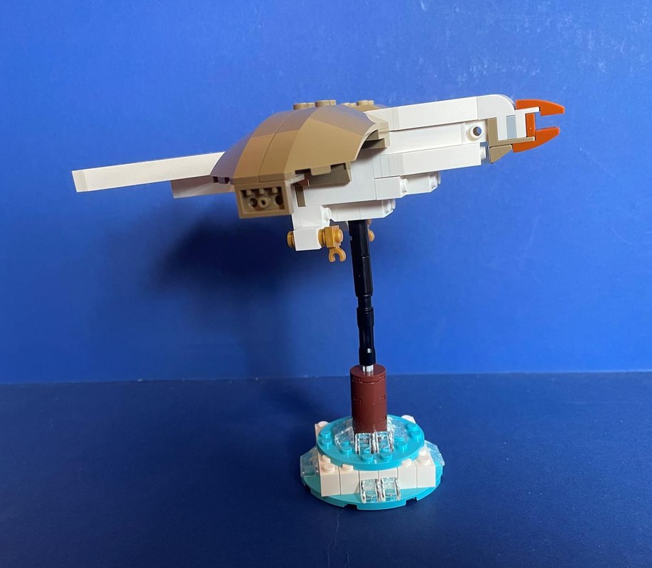 Lego 40487 Alternate - Sea Bird Model Build