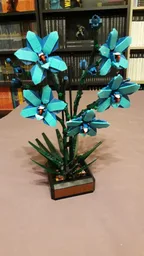 Blue Cymbidium (BT022)