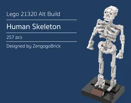 21320 Human Skeleton