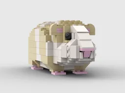 Guinea Pig