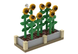 Large Planters