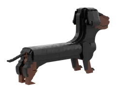 Dachshund