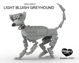 Light Bluish Greyhound