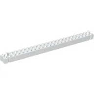 Brick Special 2 x 24 with 2 End Pegs / White