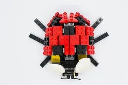 Ladybug