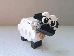Sheep - Cloudia