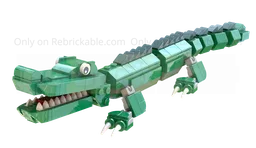Crocodile