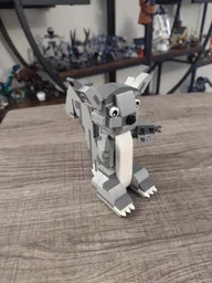 Squirrel
