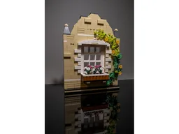 Window