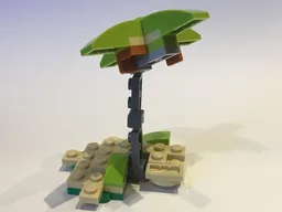 11953 Coconut Tree