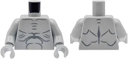 Torso with Dark Bluish Gray Muscles Outline, Collar Bones and Skin Folds Pattern / Light Bluish Gray Arms / Light Bluish Gray Hands / Light Bluish Gray