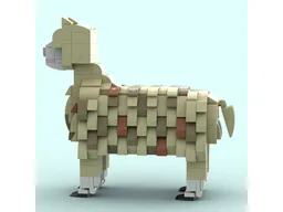 Alpaca