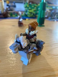 Wolf rider