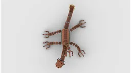 The Zillo Beast