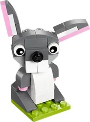 Bunny