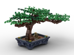Bonsai Tree