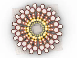 Expo 2020 Dubai Logo