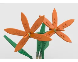 Orange bird orchid