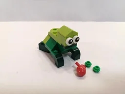 🐢 Turtle with 11007