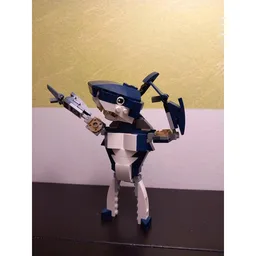 Gym Shark