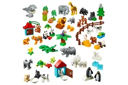 Animals