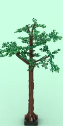 Rainforest tree