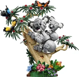Wild Animals: Family of Koalas