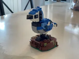 Blue Jay