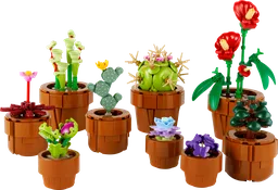 Tiny Plants
