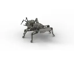 Ant