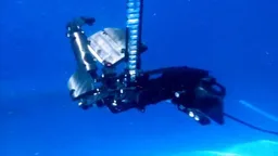 Motorised Stingray