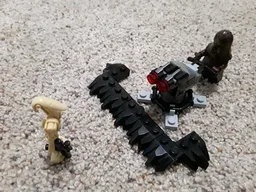 Wookiee Sentry