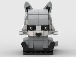 Raccoon