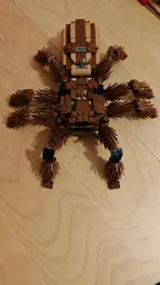 RSA Tarantula