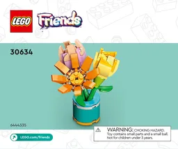 Friendship Flowers polybag