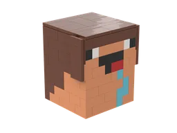Minecraft - Steve Noob Head